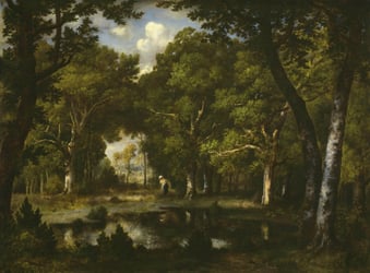 painting of a wooded glen and lake