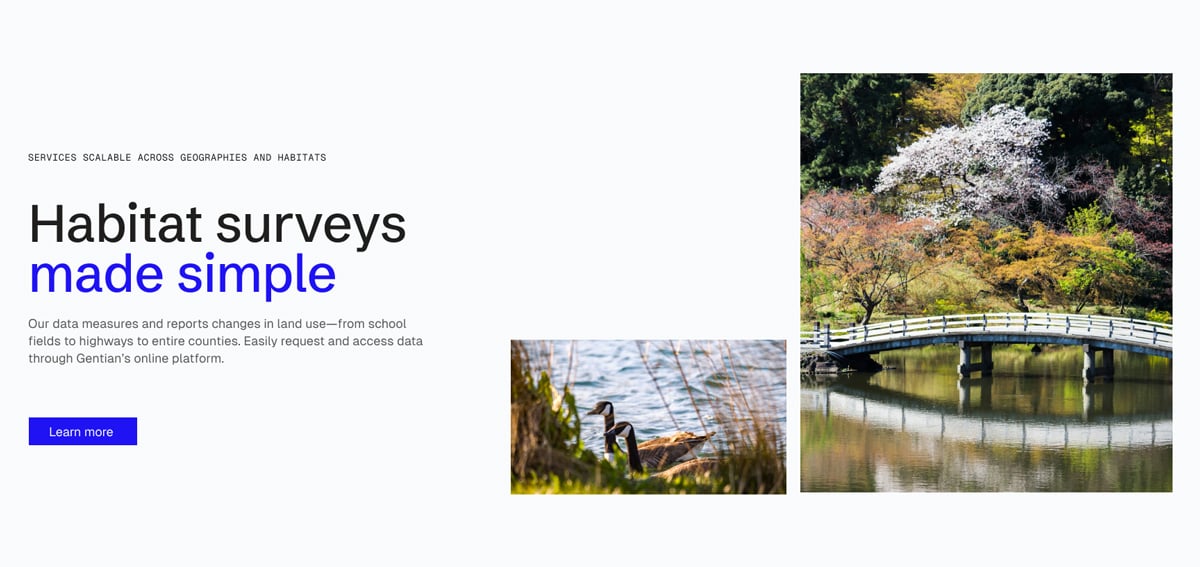 Gentian-Text-and-media