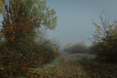 Painting of a leaf covered pathway through a misty rural setting.