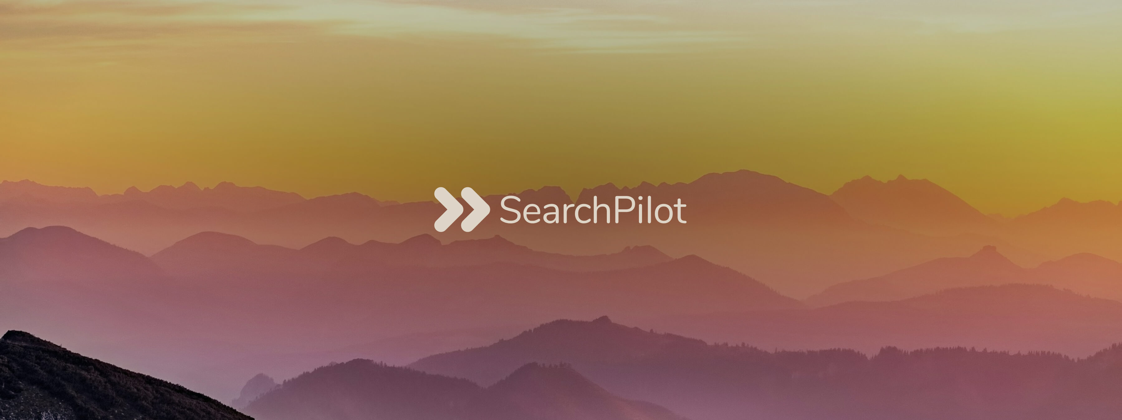 SearchPilot hero banner (1)